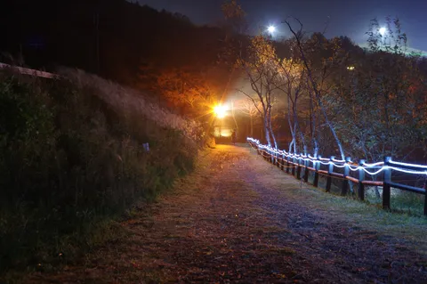 光る小道、幻想的な夜の散歩