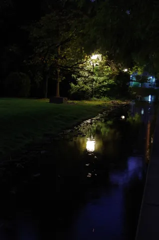 夜の水面に灯る囁き