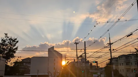 電線と夕焼けのコントラスト