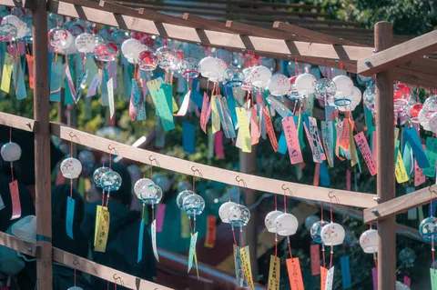 夏の風に揺れる、千の願い