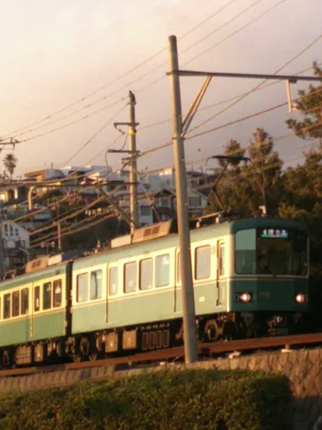 夕陽に照らされてゴールドに