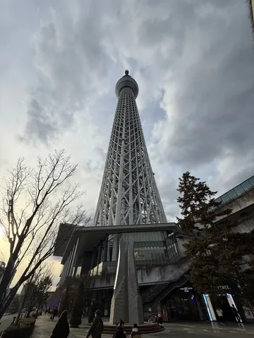 空へ伸びる鉄の塔