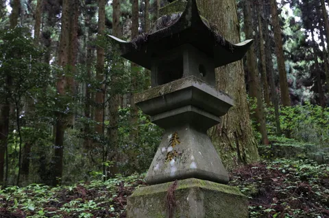 森の石燈籠に息づく静寂