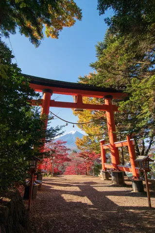 鳥居の向こう、燃える紅葉と富士山