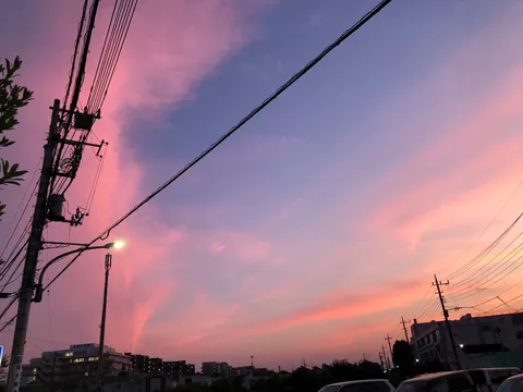 電線とピンクの空のコントラスト