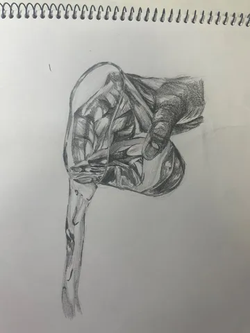 水滴が描く、束の間の芸術