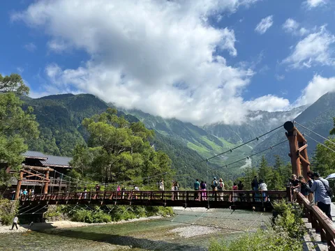 緑深き山と吊り橋の調和