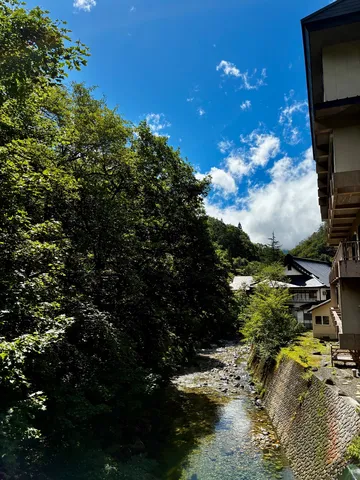 水辺の涼やかな光景
