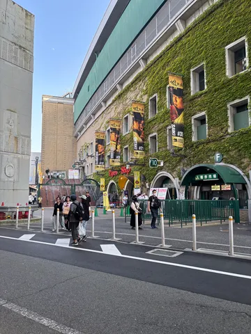 ivy壁と旗が彩る街の風景
