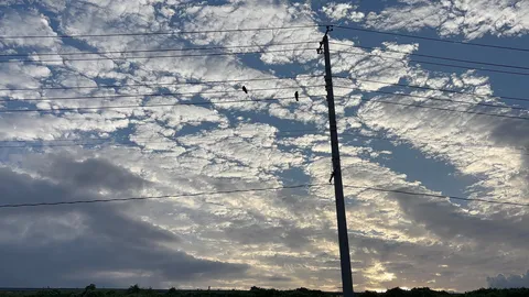 電線と鳥、そして広がる空
