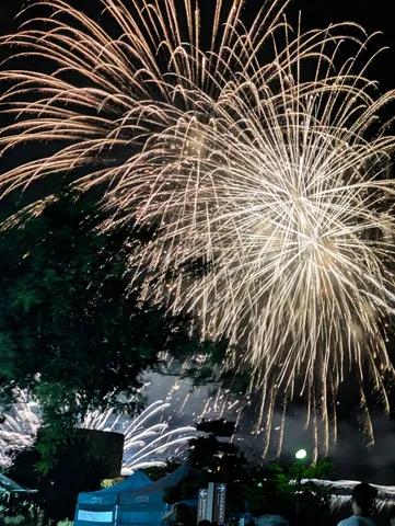 夜空を彩る光の粒
