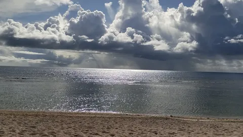 光の雫が舞う、静寂の海辺