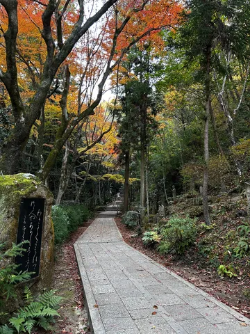 秋色に染まる参道
