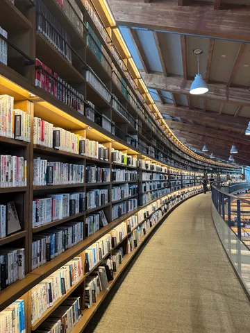 知の迷宮、無限に続く書架