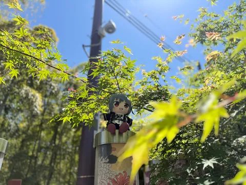 木漏れ日と小さな旅人