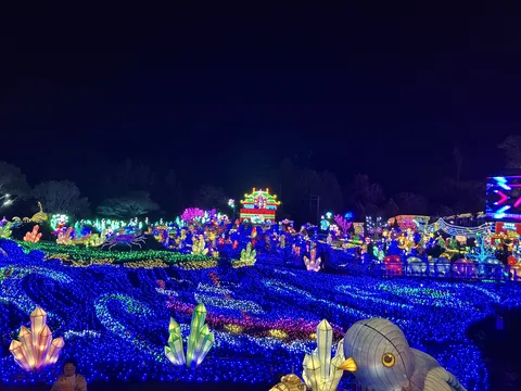 青と輝く夜の幻想空間