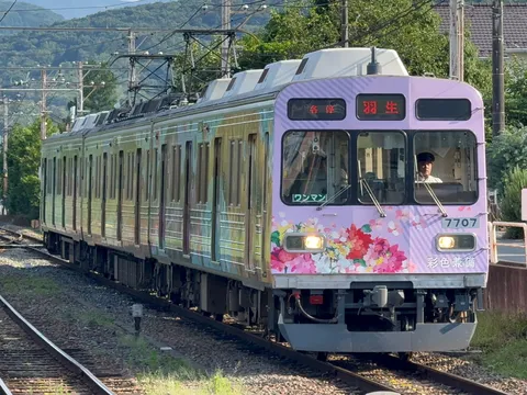 花咲くラッピング列車