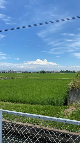 夏空と田園風景のコントラスト