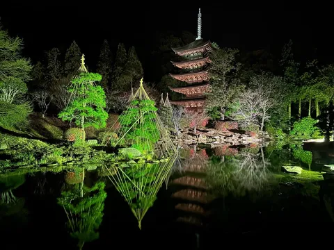 夜の庭園、五重塔と水鏡