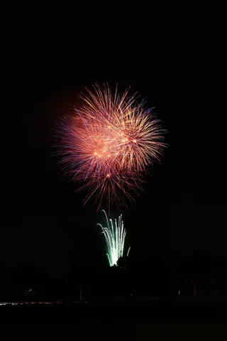 夜空を彩る花火の饗宴