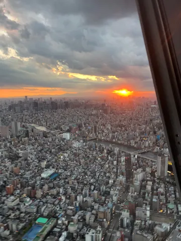 夕焼け染まる大都市のパノラマ