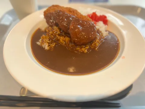 とろーりカレーとカツの誘惑