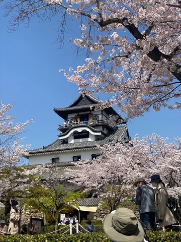 桜と城が映える春景色