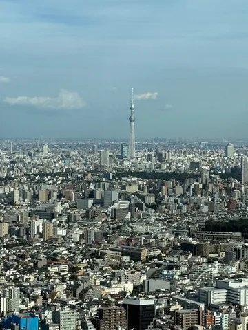 摩天楼にそびえるスカイツリー
