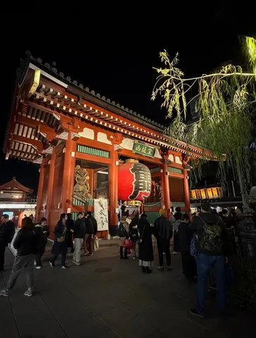 提灯が彩る夜の浅草寺