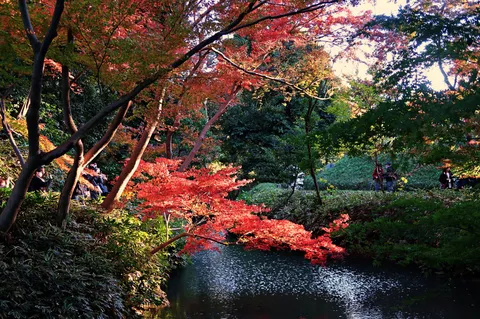紅葉の小川、秋の静寂