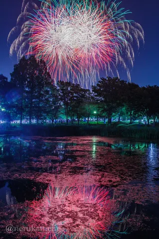 夜空と水面に咲く光の華