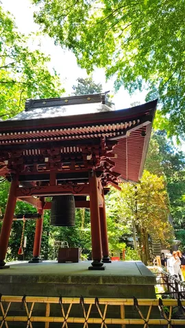 木漏れ日と鐘楼の静謐