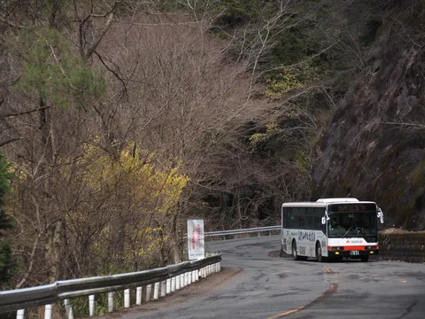 新緑前の静かな山道