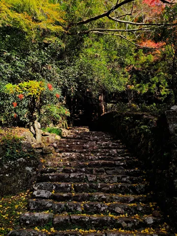 古道へ誘う石段と紅葉