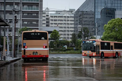雨上がり？バスたちの密談中