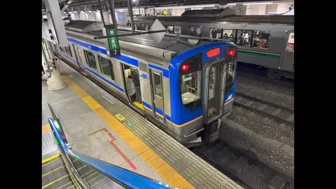 日常の一コマ、電車が駅に滑り込む