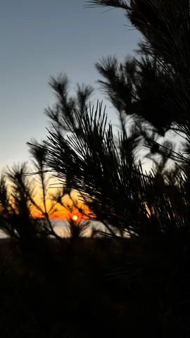 松越しの夕日