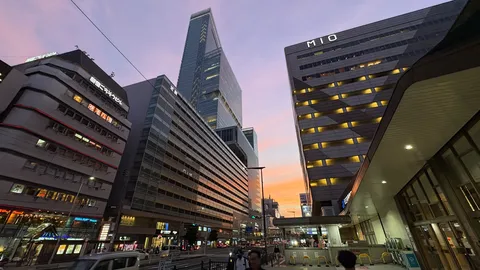 夕暮れの摩天楼と街の灯り