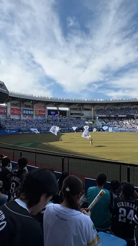 応援の風、スタンドからグラウンドへ