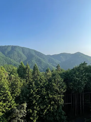 深緑の山々と青空のコントラスト