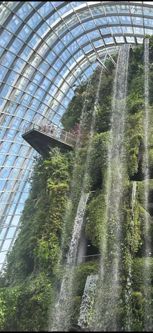 ガラス室の滝と緑景