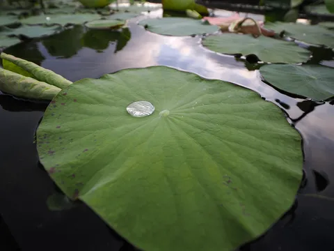 水滴の魔法、水面に浮かぶ世界