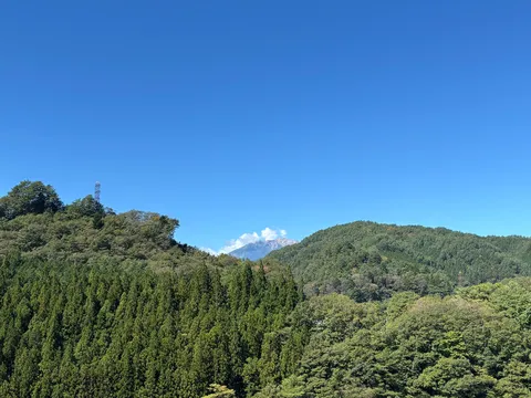 澄んだ青と森の息吹