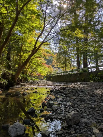 秋色に染まる渓流と苔むした石畳