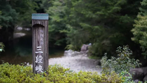 苔むす看板と水音