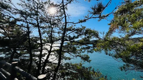 木漏れ日と碧い海
