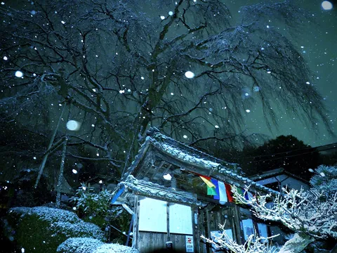 雪舞う夜、静寂の古刹