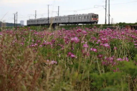 花霞む線路と列車
