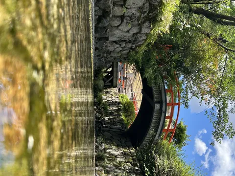 水面に映える赤い橋と緑