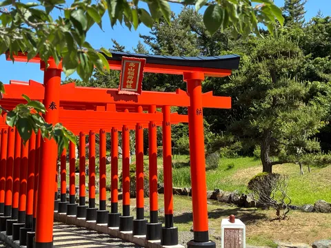 朱の鳥居、木漏れ日の道